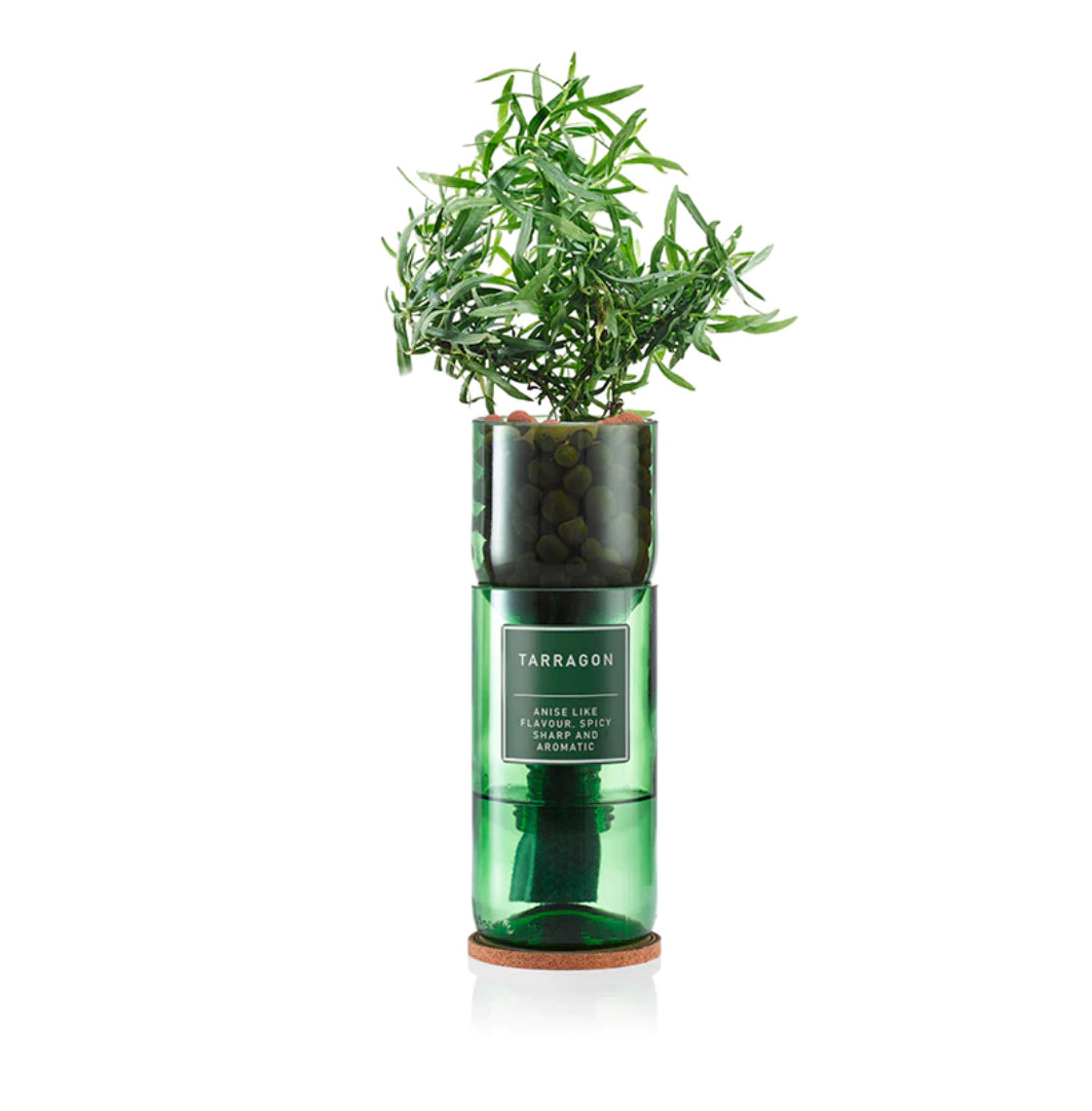 Tarragon Hydro-Herb Kit