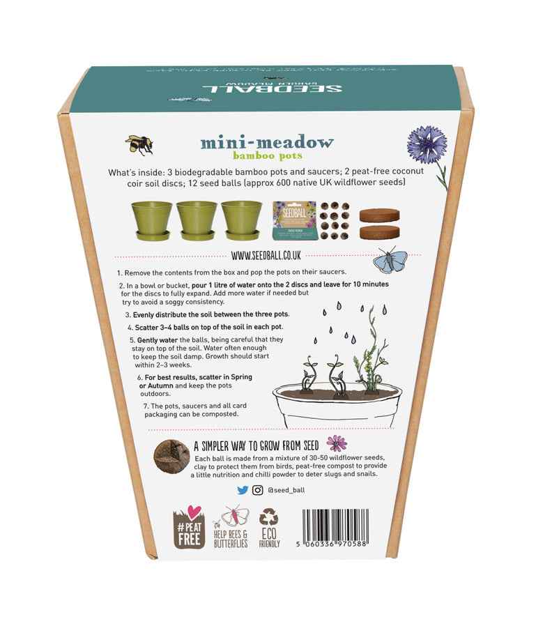 Bee mix, Mini meadow Seedball bamboo pot set