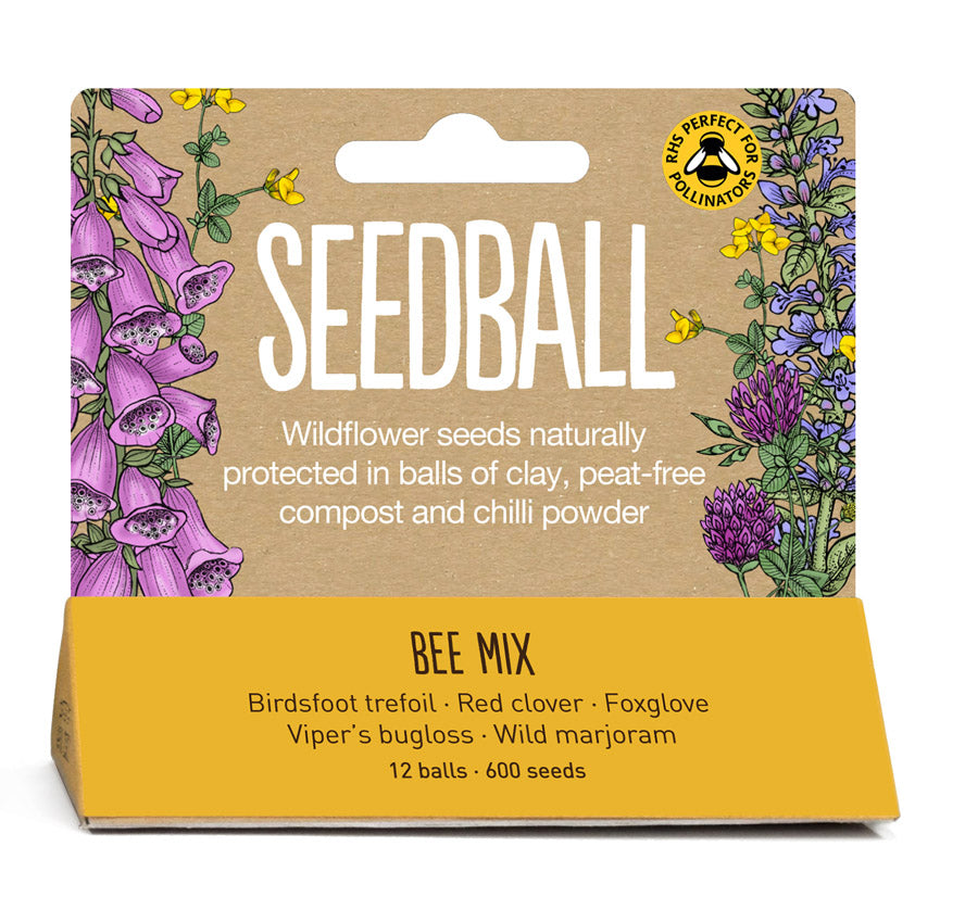 Bee mix, Mini meadow Seedball bamboo pot set