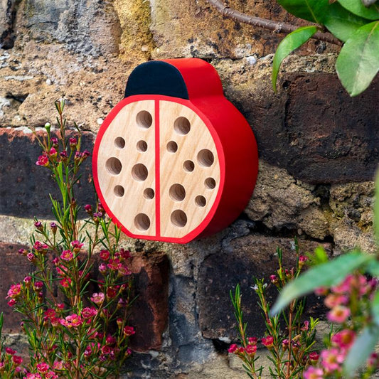 Ladybird wooden bug hotel