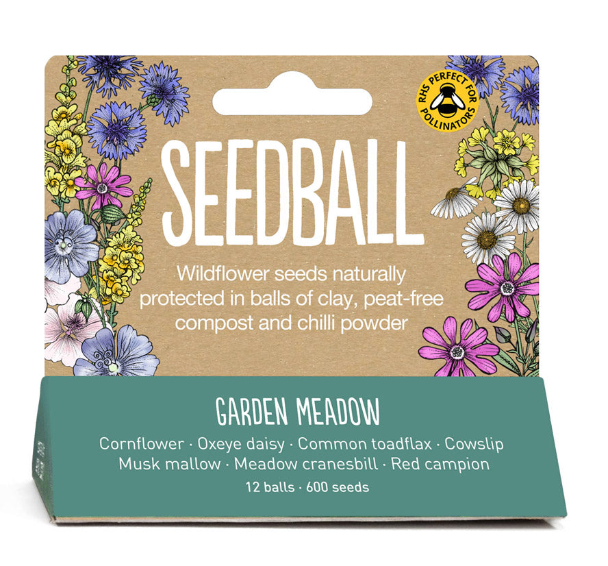 Garden Meadow, Mini meadow Seedball bamboo pot set