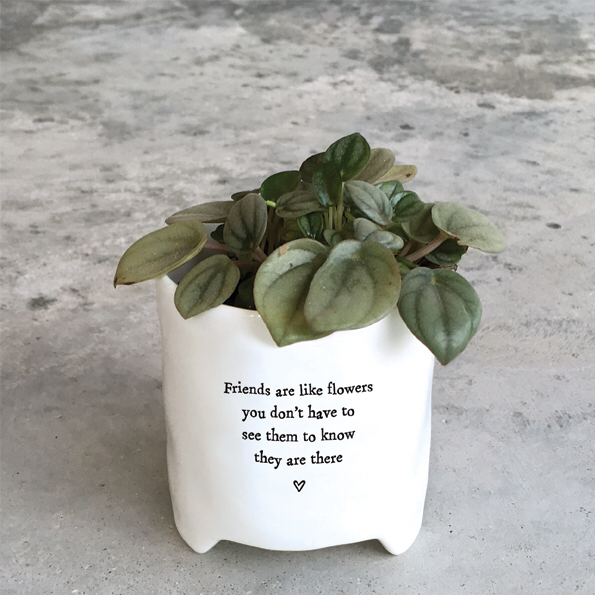 Friends are like flowers' small plant pot by east of india