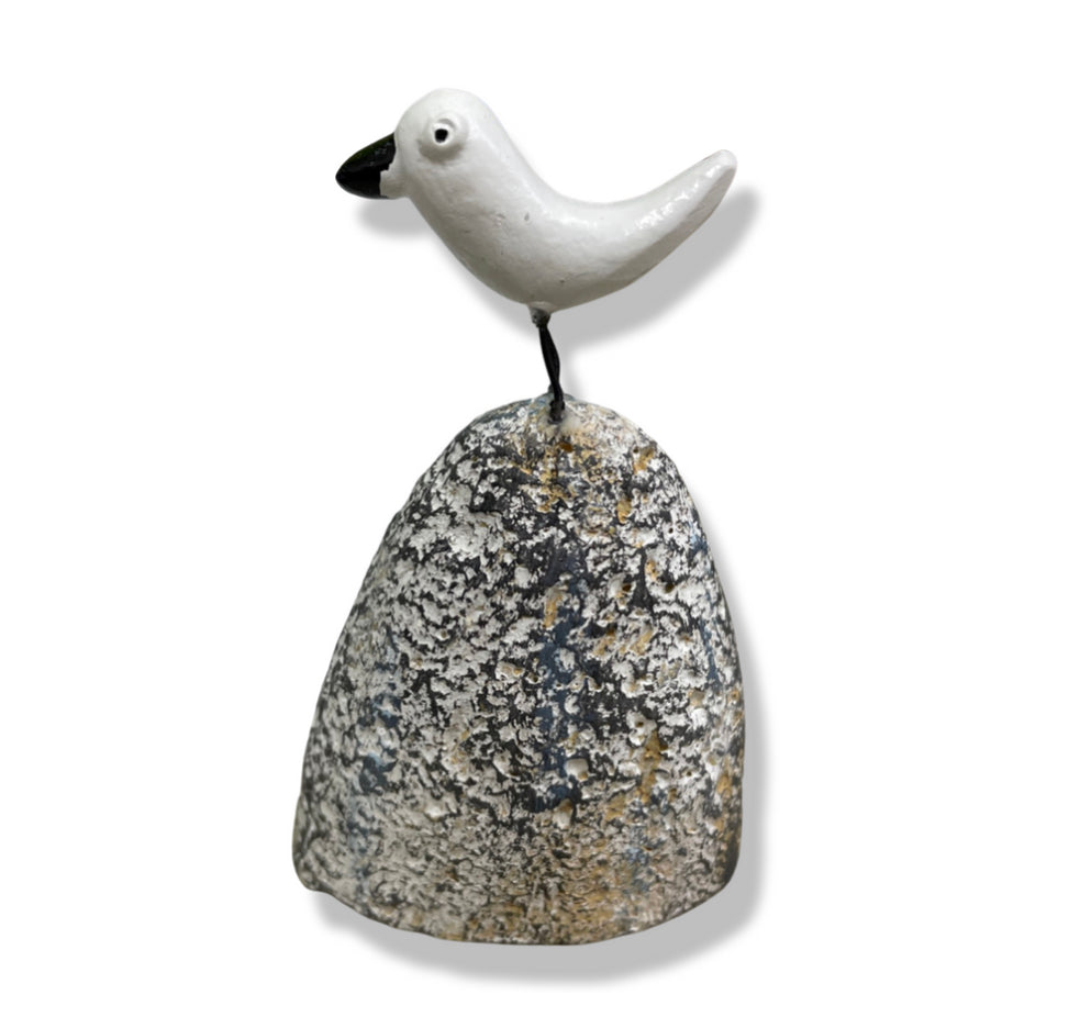 Seagull on rock. Shoeless Joe