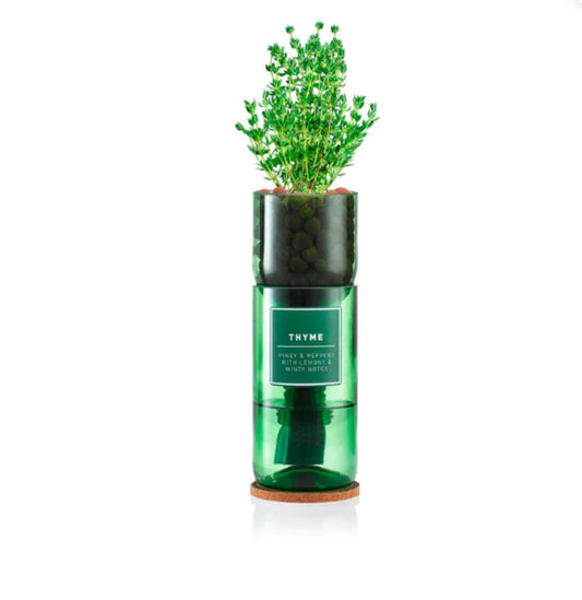 Thyme Hydro-Herb kit