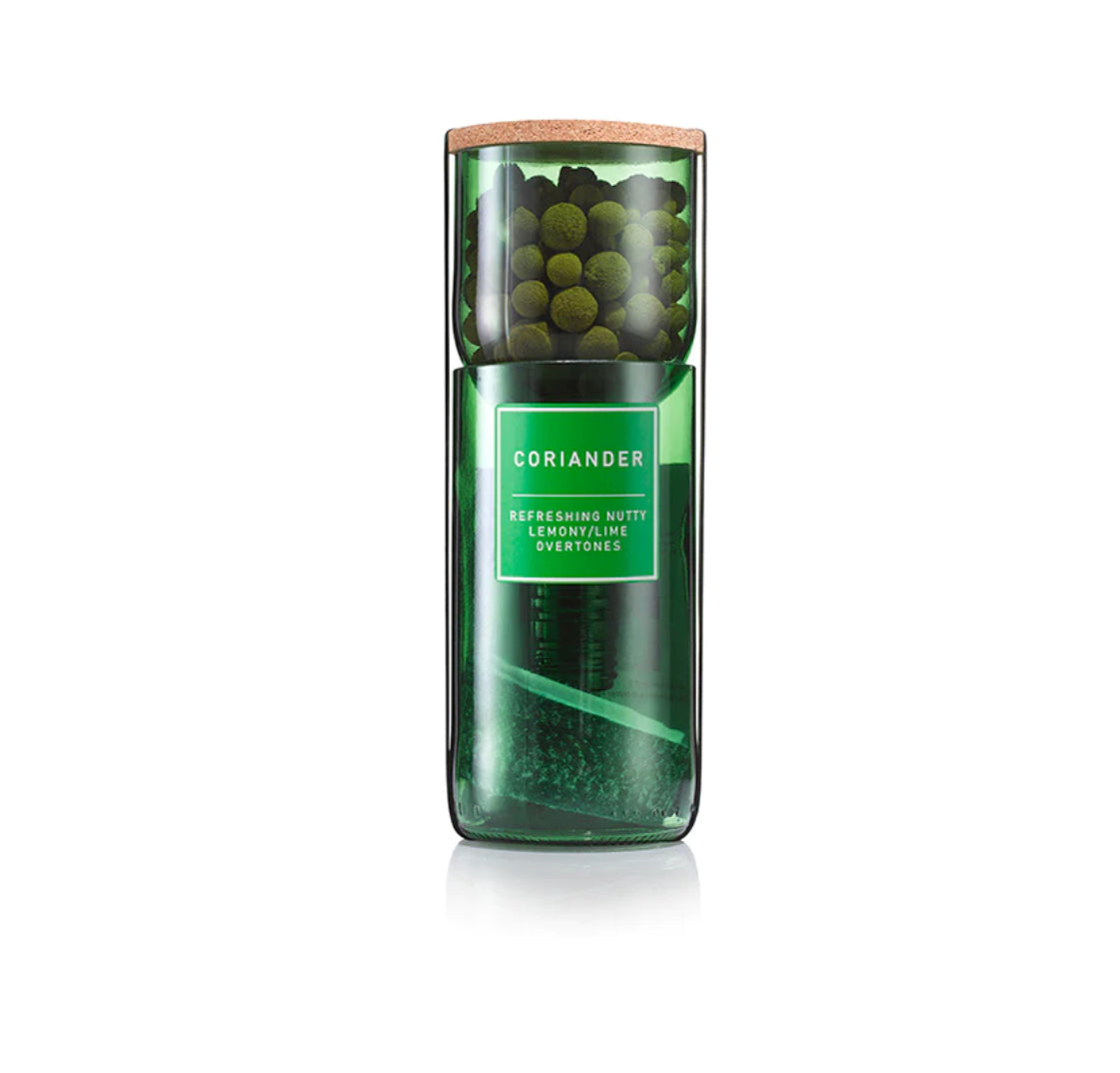 Coriander Hydro-Herb kit
