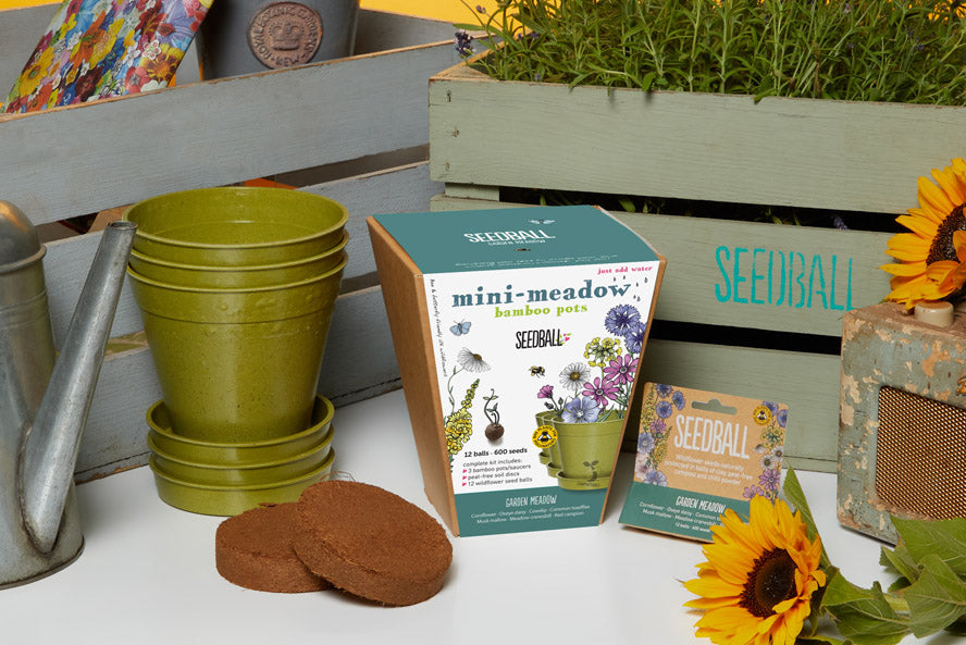 Bee mix, Mini meadow Seedball bamboo pot set