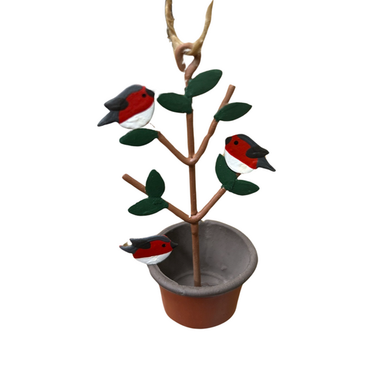 Robins on a plant hanging Christmas decoration by shoeless joe