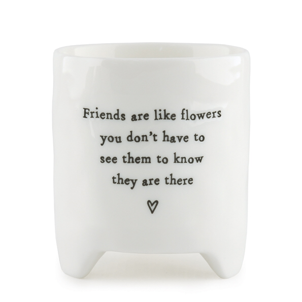 Friends are like flowers' small plant pot by east of india