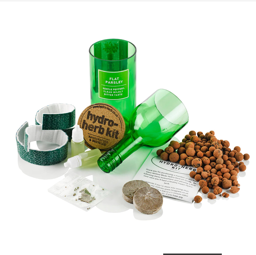 Grow your own Oregano Hydro-herb kit