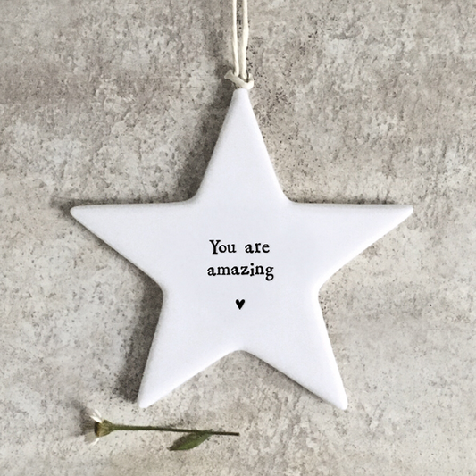 You are amazing, porcelain star