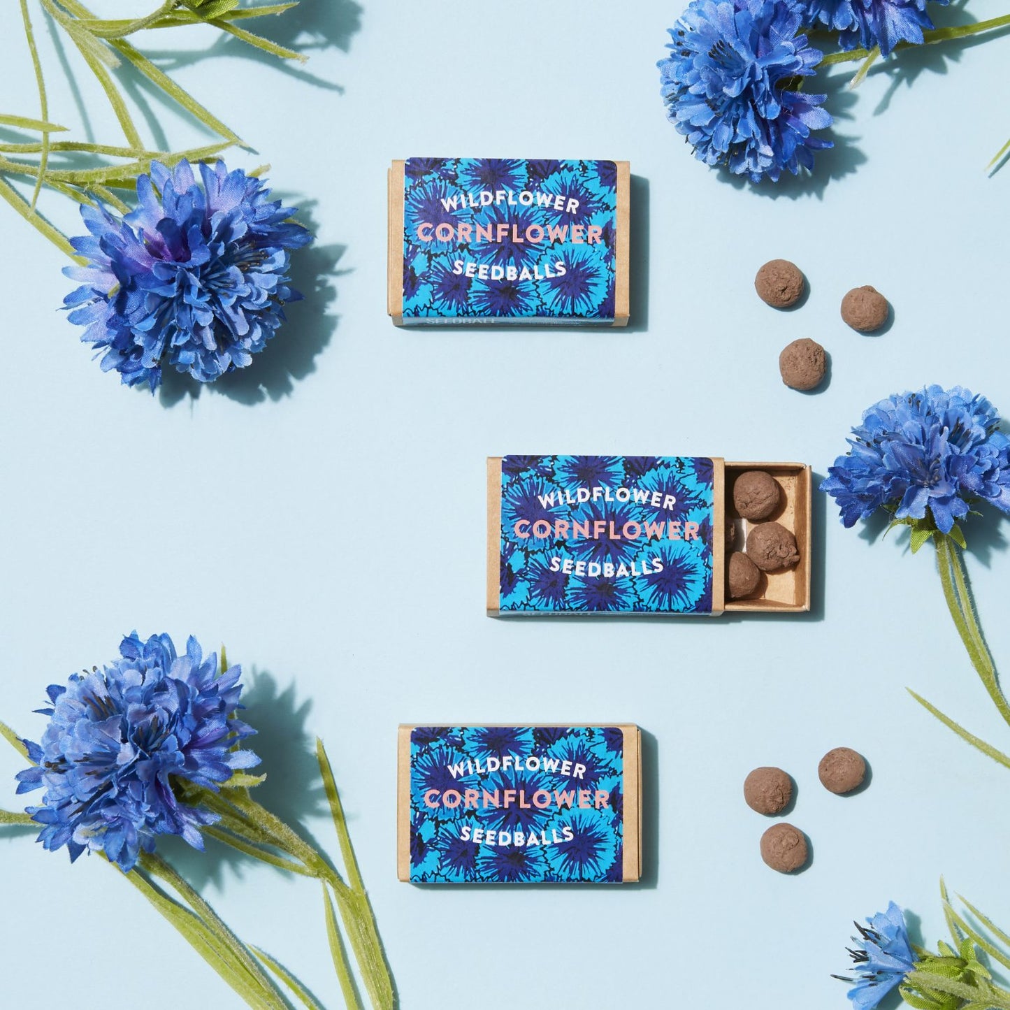 Cornflower seedball matchbox