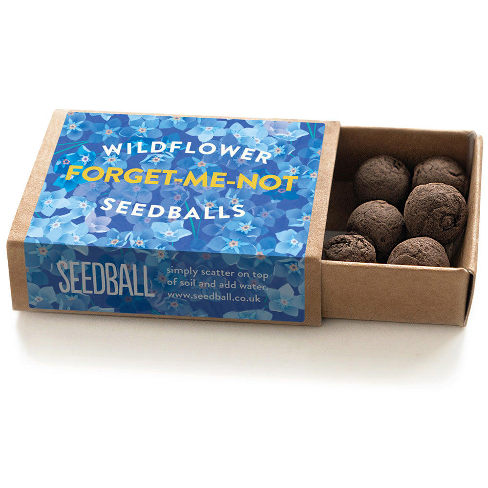 Forget-me-not seedball matchbox