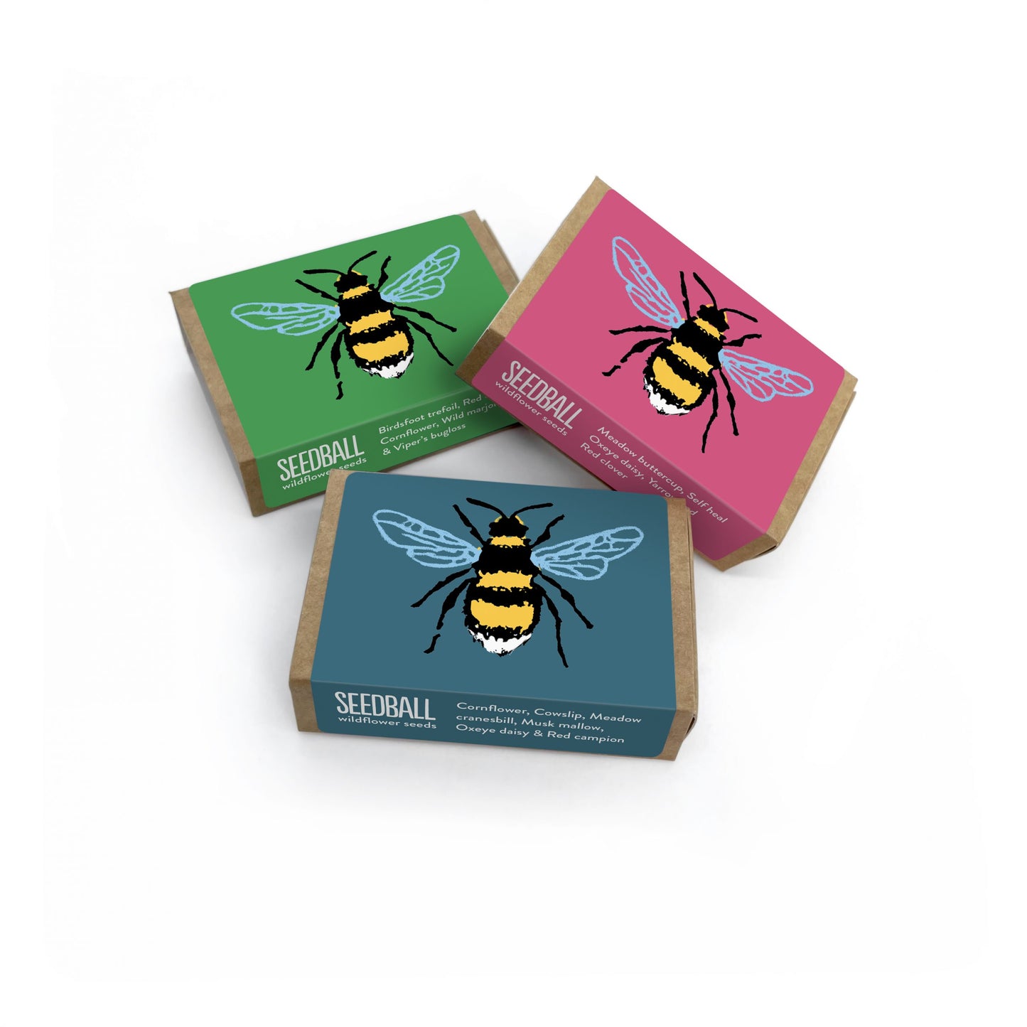 Bee Box seedball Matchbox